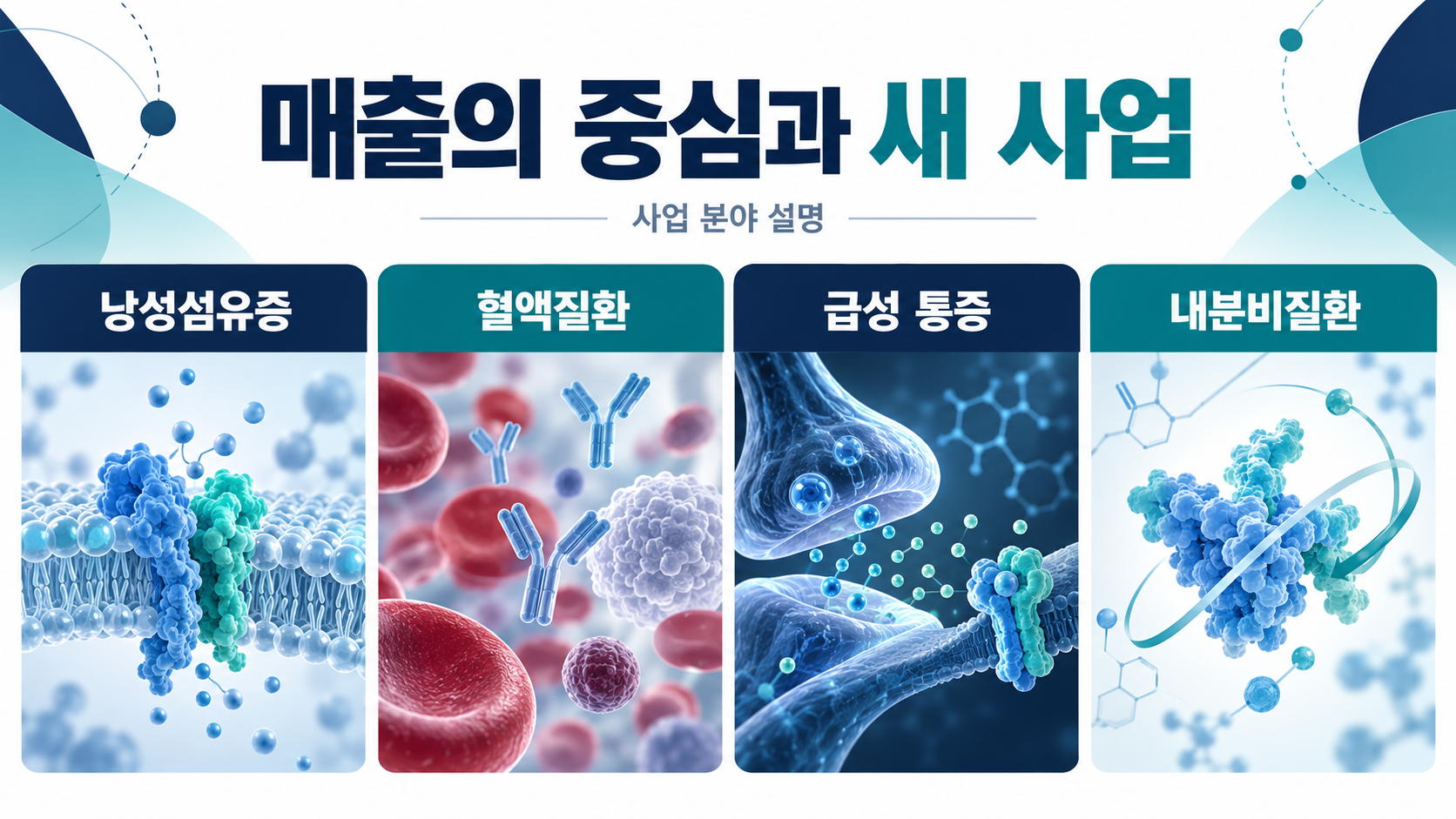 네 가지 질환 분야를 구분한 사업 설명 그림